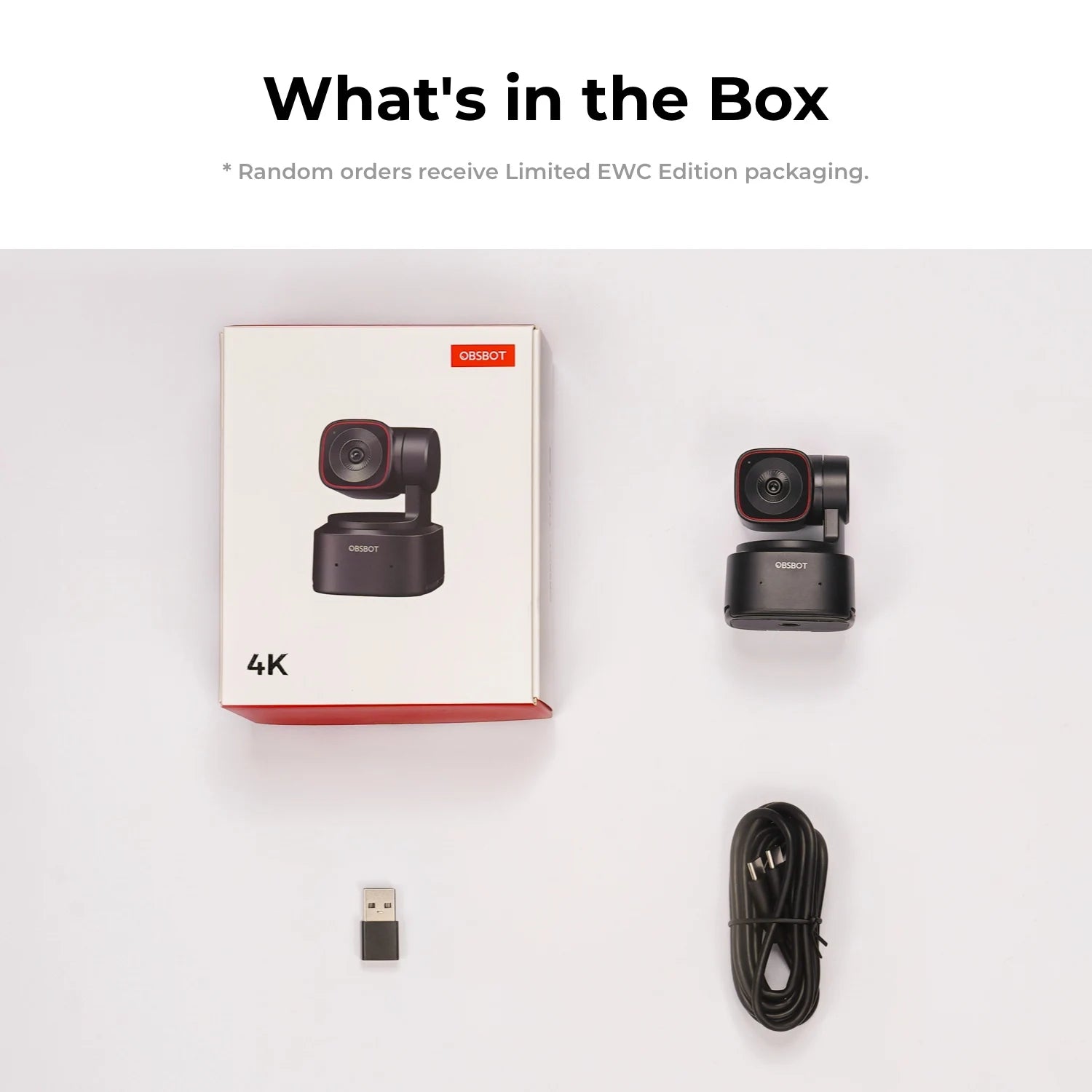 Tiny 2 Lite AI-Powered 4K PTZ Webcam